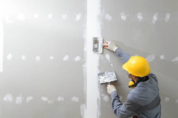 Best Emergency Mold Remediation  in Ransom Canyon, TX